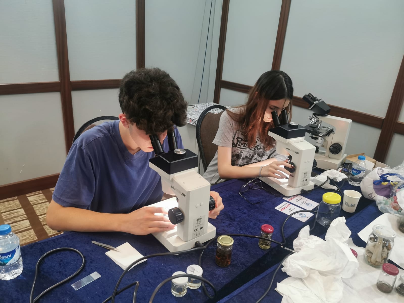 Öğrenci laboratuvarda mikroskop çalışması yapıyor