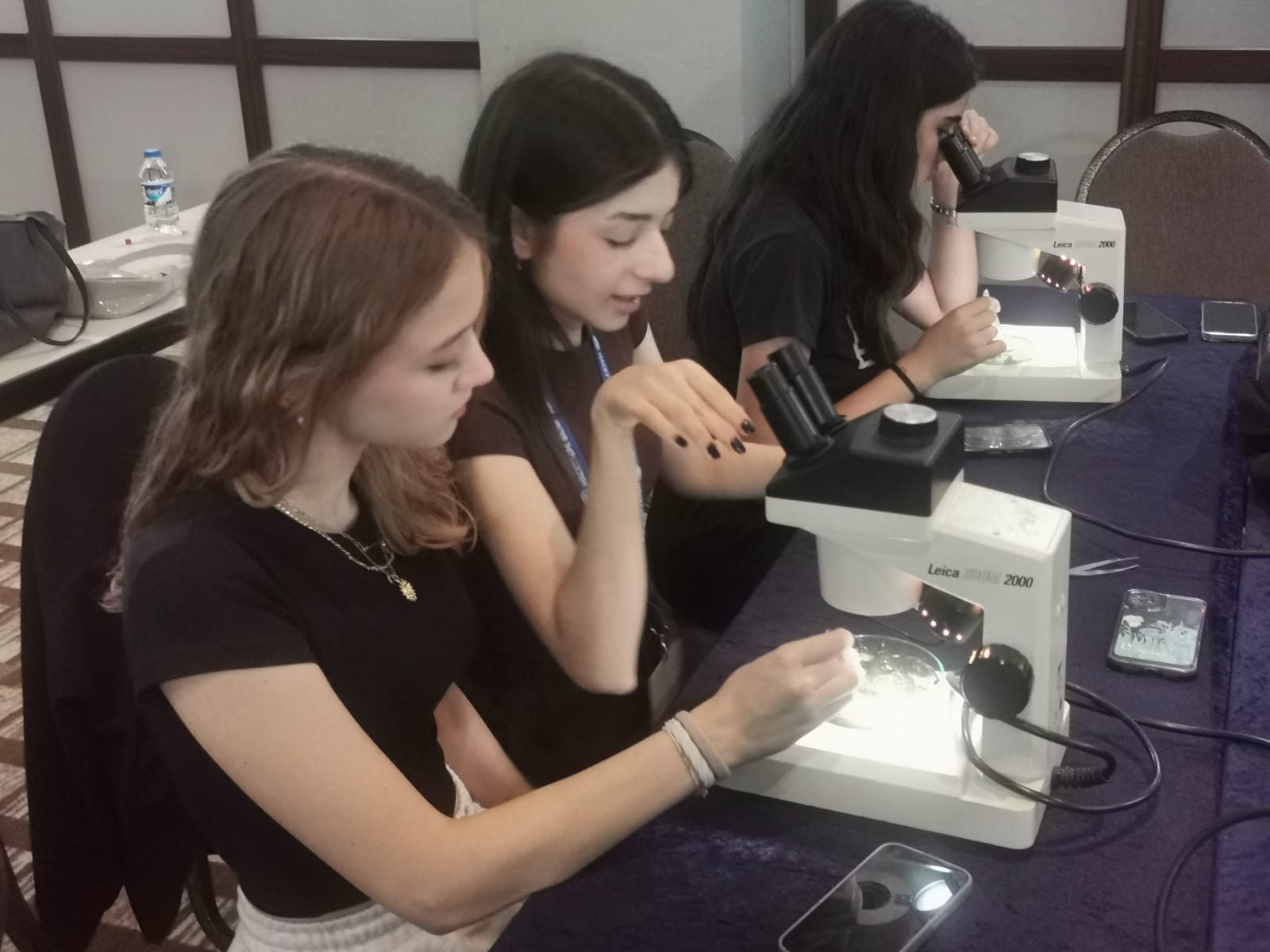 Bilim programı etkinliği